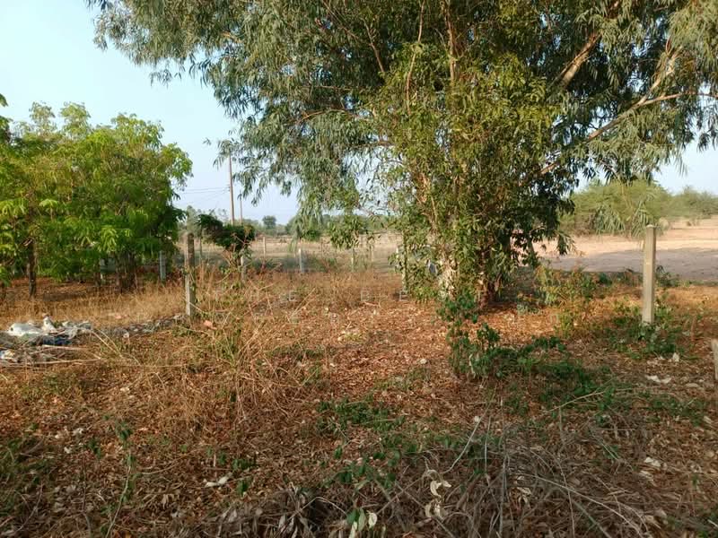 ที่ดินบ้านไผ่ ขอนแก่น, Khon Kaen, Nai Muang, Ban Phai, Khon Kaen, , 240 sqm, Land For Sale, by The Best Property  ปุ๊ก, 500240128 - DDproperty.com