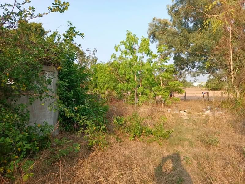 ที่ดินบ้านไผ่ ขอนแก่น, Khon Kaen, Nai Muang, Ban Phai, Khon Kaen, , 240 sqm, Land For Sale, by The Best Property  ปุ๊ก, 500240128 - DDproperty.com