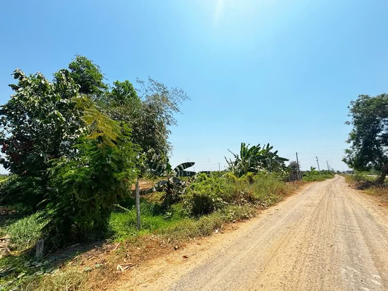 ที่ดินเปล่า เนื้อที่ 5 ไร่ ซอยบึงบอน35 ตำบลบึงบอน อำเภอหนองเสือ จังหวัดปทุมธานี, Pathum Thani, Bung Bon, Nong Sua, Pathum Thani, , 8,000 sqm, Land For Sale, by ภัทรนัน อิศรางกูร ณ อยุธยา, 500240148 - DDproperty.com