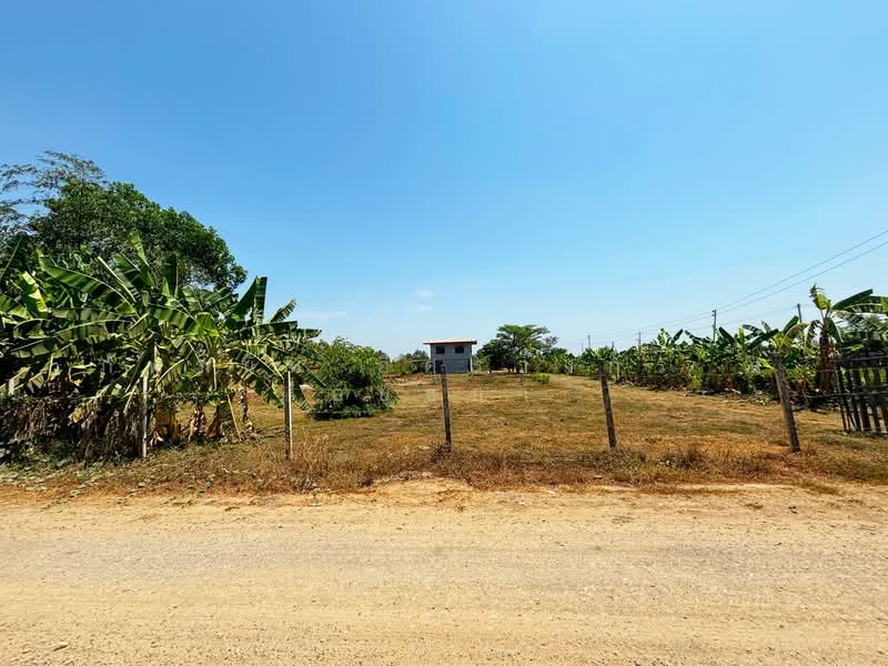 ที่ดินเปล่า เนื้อที่ 5 ไร่ ซอยบึงบอน35 ตำบลบึงบอน อำเภอหนองเสือ จังหวัดปทุมธานี, ปทุมธานี, บึงบอน, หนองเสือ, ปทุมธานี, 8,000 ตร.ม., ที่ดิน ขาย, โดย ภัทรนัน อิศรางกูร ณ อยุธยา, 500240148 - DDproperty.com