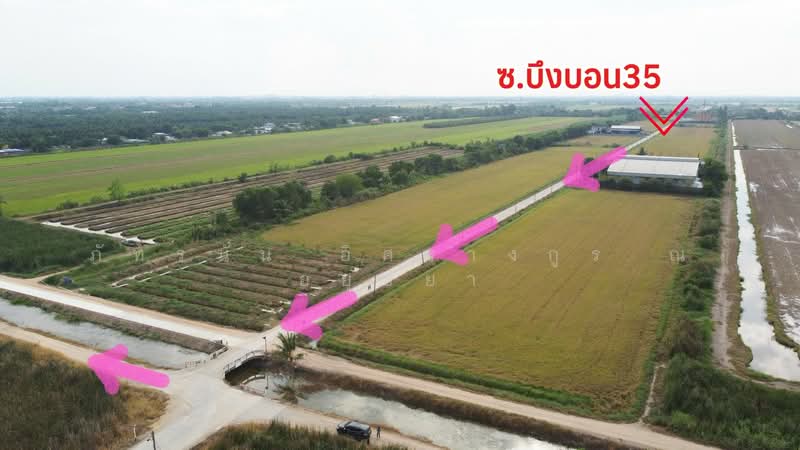 ที่ดินเปล่า เนื้อที่ 5 ไร่ ซอยบึงบอน35 ตำบลบึงบอน อำเภอหนองเสือ จังหวัดปทุมธานี, ปทุมธานี, บึงบอน, หนองเสือ, ปทุมธานี, 8,000 ตร.ม., ที่ดิน ขาย, โดย ภัทรนัน อิศรางกูร ณ อยุธยา, 500240148 - DDproperty.com