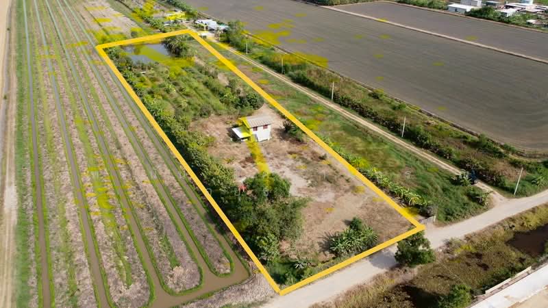 ที่ดินเปล่า เนื้อที่ 5 ไร่ ซอยบึงบอน35 ตำบลบึงบอน อำเภอหนองเสือ จังหวัดปทุมธานี, Pathum Thani, Bung Bon, Nong Sua, Pathum Thani, , 8,000 sqm, Land For Sale, by ภัทรนัน อิศรางกูร ณ อยุธยา, 500240148 - DDproperty.com