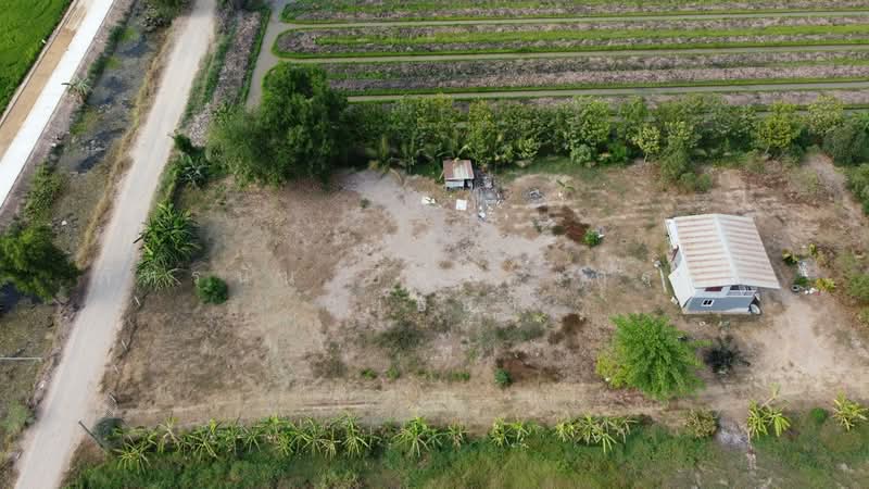 ที่ดินเปล่า เนื้อที่ 5 ไร่ ซอยบึงบอน35 ตำบลบึงบอน อำเภอหนองเสือ จังหวัดปทุมธานี, Pathum Thani, Bung Bon, Nong Sua, Pathum Thani, , 8,000 sqm, Land For Sale, by ภัทรนัน อิศรางกูร ณ อยุธยา, 500240148 - DDproperty.com