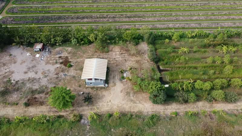 ที่ดินเปล่า เนื้อที่ 5 ไร่ ซอยบึงบอน35 ตำบลบึงบอน อำเภอหนองเสือ จังหวัดปทุมธานี, Pathum Thani, Bung Bon, Nong Sua, Pathum Thani, , 8,000 sqm, Land For Sale, by ภัทรนัน อิศรางกูร ณ อยุธยา, 500240148 - DDproperty.com