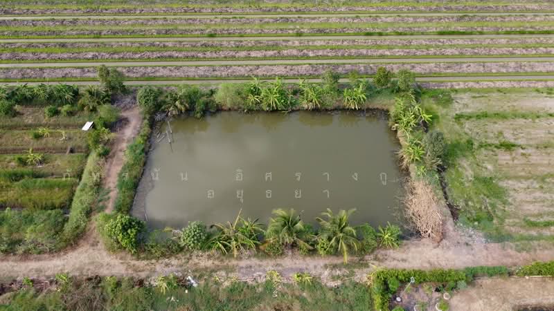 ที่ดินเปล่า เนื้อที่ 5 ไร่ ซอยบึงบอน35 ตำบลบึงบอน อำเภอหนองเสือ จังหวัดปทุมธานี, ปทุมธานี, บึงบอน, หนองเสือ, ปทุมธานี, 8,000 ตร.ม., ที่ดิน ขาย, โดย ภัทรนัน อิศรางกูร ณ อยุธยา, 500240148 - DDproperty.com