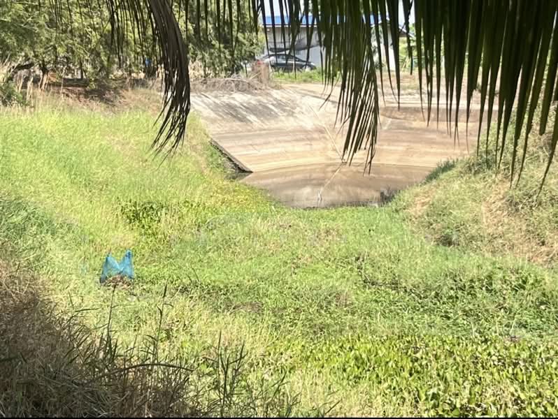 ขายที่ดินพร้อมสวนผสมพืช4ชนิด, Sa Kaeo, Sa Kaeo, Muang Sa Kaeo, Sa Kaeo, , 74,124 sqm, Land For Sale, by พงศ์สุธี เหลืองเสรี, 500240164 - DDproperty.com