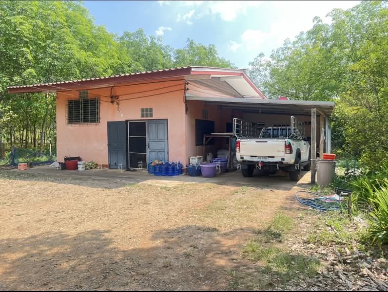 ขายที่ดินพร้อมสวนผสมพืช4ชนิด, Sa Kaeo, Sa Kaeo, Muang Sa Kaeo, Sa Kaeo, , 74,124 sqm, Land For Sale, by พงศ์สุธี เหลืองเสรี, 500240164 - DDproperty.com