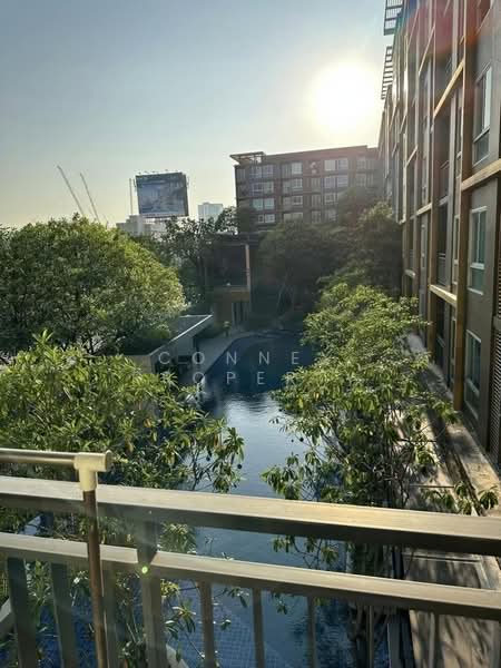 Metro Luxe Kaset, Bangkok, Prasert-Manukitch Road, Sena Nikhom, Chatuchak, Bangkok, 1 Bedroom, 36 sqm, Condo For Rent, by Connex Property, 500240230 - DDproperty.com