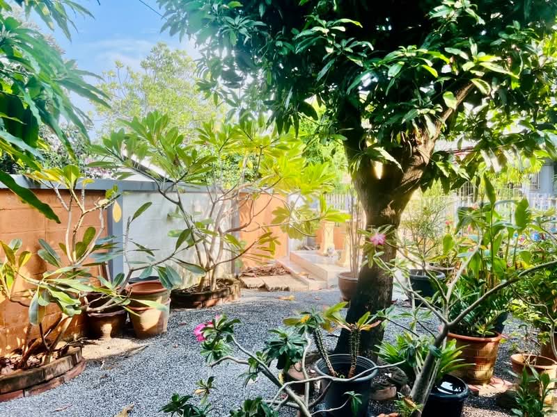 Wisatesuknakorn 16-Prachauthit 90, Samut Prakan, Soi Wiset Suk Nakorn Village Project 16, Pracha Uthit 90 Road, Ban Khlong Suan, Phra Samut Jadee, Samut Prakan, 3 Bedrooms, 100 sqm, Single Detached House For Sale, by The Best Property ปู, 500240268 - DDproperty.com