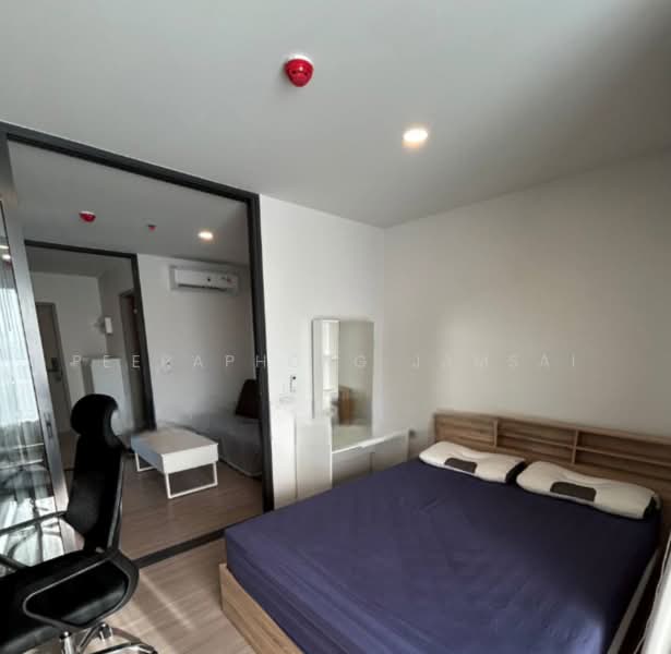 Aspire Sukhumvit-Rama 4, Bangkok, 4404 Rama 4 Road, Phra Kanong, Khlong Toei, Bangkok, 1 Bedroom, 35 sqm, Condo For Rent, by Peeraphong Jamsai, 500240273 - DDproperty.com