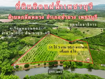 ขาย - ที่ดินสวนทุเรียน ติดแม่น้ำเพชรบุรี, เพชรบุรี