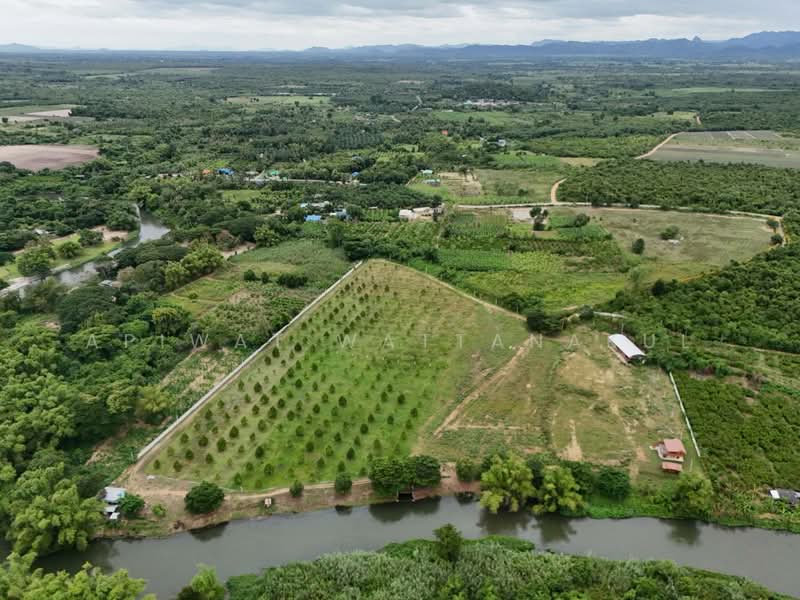 ที่ดินสวนทุเรียน ติดแม่น้ำเพชรบุรี, เพชรบุรี, กลัดหลวง, ท่ายาง, เพชรบุรี, 51,180 ตร.ม., กิจการ ขาย, โดย Apiwat Wattanakul, 500240309 - DDproperty.com