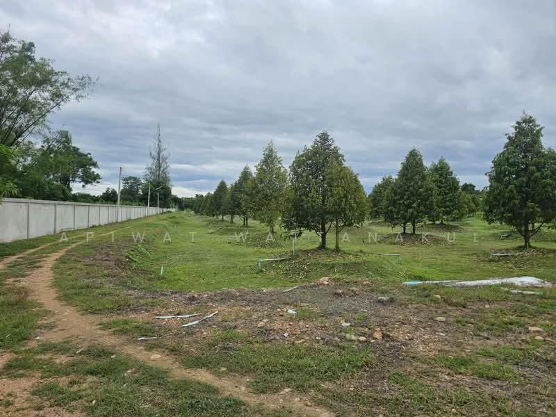 ที่ดินสวนทุเรียน ติดแม่น้ำเพชรบุรี, เพชรบุรี, กลัดหลวง, ท่ายาง, เพชรบุรี, 51,180 ตร.ม., กิจการ ขาย, โดย Apiwat Wattanakul, 500240309 - DDproperty.com