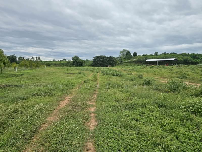 Durian Orchard Riverfront Land – Phetchaburi River, Phetchaburi, Klat Luang, Tha Yang, Phetchaburi, , 51,180 sqm, Business For Sale, by Apiwat Wattanakul, 500240309 - DDproperty.com