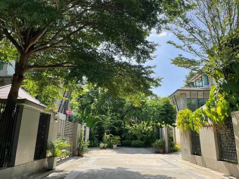 Willow 49 : วิลโลว 49, กรุงเทพ, 234 Soi Sukhumvit 49/14, คลองตันเหนือ, วัฒนา, กรุงเทพ, 400 ตร.ม., บ้านเดี่ยว ให้เช่า, โดย Boonraksa Sopak, 500240361 - DDproperty.com