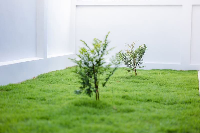 โครงการบ้าน 𝐌𝐨𝐫𝐧𝐢𝐧𝐠, เชียงใหม่, หนองจ๊อม, สันทราย, เชียงใหม่, 168 ตร.ม., บ้านเดี่ยว ขาย, โดย Shori Asset Group Co., Ltd., 500240419 - DDproperty.com