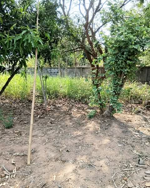บ้านเดี่ยวพร้อมที่ดินแม่พริก ลำปาง, Lampang, Mae Phrik, Mae Phrik, Lampang, 1 Bedroom, 100 sqm, Single Detached House For Sale, by The Best Property ชัย, 500240451 - DDproperty.com