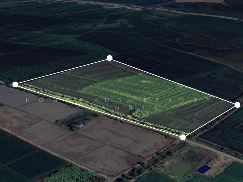 For Sale - ที่ดินตำบลวัดตายม 23 ไร่ ใกล้ถนนหมายเลข 11 อำเภอบางกระทุ่ม, Phitsanulok