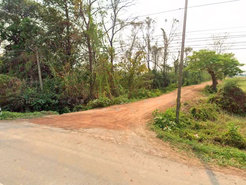 For Sale - ที่ดินตำบลวัดตายม 23 ไร่ ใกล้ถนนหมายเลข 11 อำเภอบางกระทุ่ม, Phitsanulok