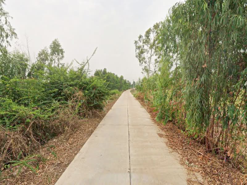 For Sale - ที่ดินตำบลวัดตายม 23 ไร่ ใกล้ถนนหมายเลข 11 อำเภอบางกระทุ่ม, Phitsanulok