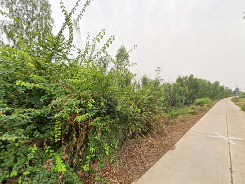 For Sale - ที่ดินตำบลวัดตายม 23 ไร่ ใกล้ถนนหมายเลข 11 อำเภอบางกระทุ่ม, Phitsanulok