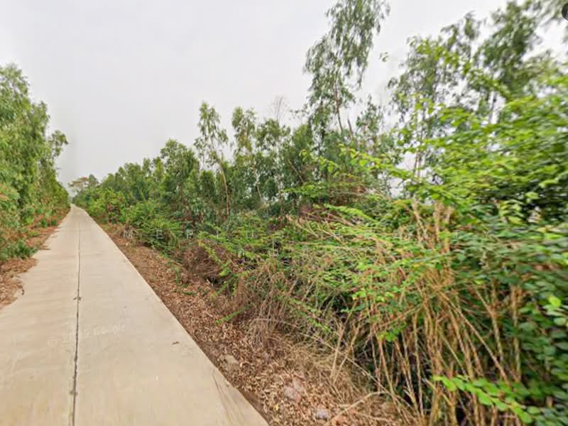 For Sale - ที่ดินตำบลวัดตายม 23 ไร่ ใกล้ถนนหมายเลข 11 อำเภอบางกระทุ่ม, Phitsanulok