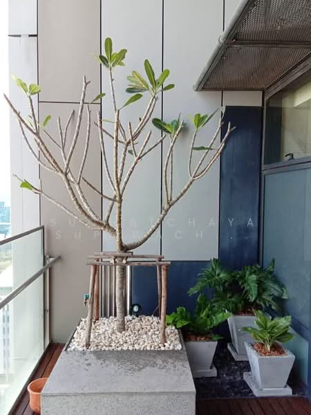 The Met Sathorn, Bangkok, 123 South Sathorn Road, Thung Maha Mek, Sathon, Bangkok, 2 Bedrooms, 93 sqm, Condo For Sale, by Suchatchaya Supawachiranant, 500240585 - DDproperty.com