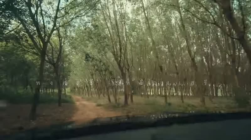 ขายที่ดินพร้อมสวนยางพาราและสนามบินเล็ก215ไร่ อ.เมืองสระแก้ว, Sa Kaeo, Khok Pi Khong, Muang Sa Kaeo, Sa Kaeo, , 344,000 sqm, Land For Sale, by พงศ์สุธี เหลืองเสรี, 500240617 - DDproperty.com