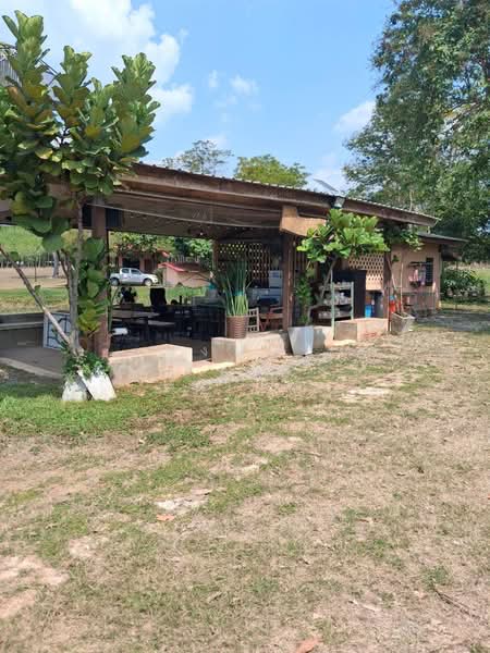 ขายที่ดินพร้อมสวนยางพาราและสนามบินเล็ก215ไร่ อ.เมืองสระแก้ว, สระแก้ว, โคกปี่ฆ้อง, เมืองสระแก้ว, สระแก้ว, 344,000 ตร.ม., ที่ดิน ขาย, โดย พงศ์สุธี เหลืองเสรี, 500240617 - DDproperty.com