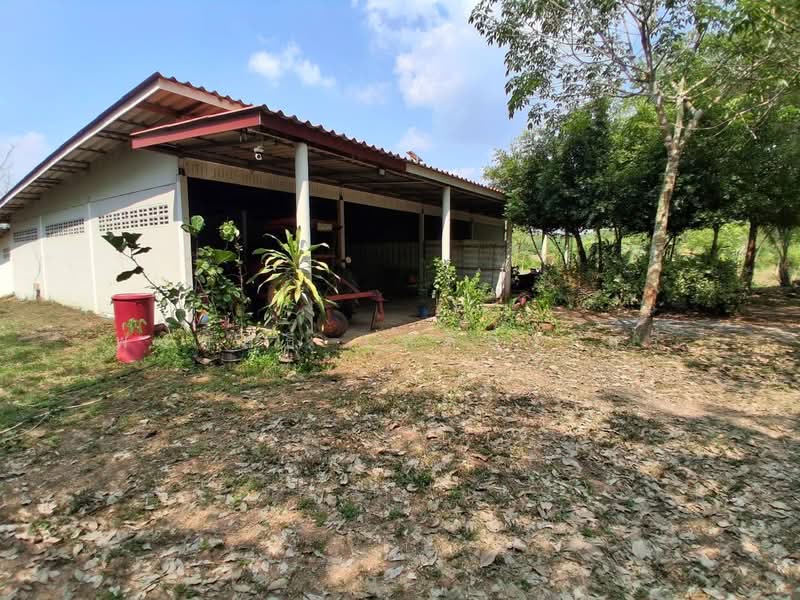 ขายที่ดินพร้อมสวนยางพาราและสนามบินเล็ก215ไร่ อ.เมืองสระแก้ว, Sa Kaeo, Khok Pi Khong, Muang Sa Kaeo, Sa Kaeo, , 344,000 sqm, Land For Sale, by พงศ์สุธี เหลืองเสรี, 500240617 - DDproperty.com