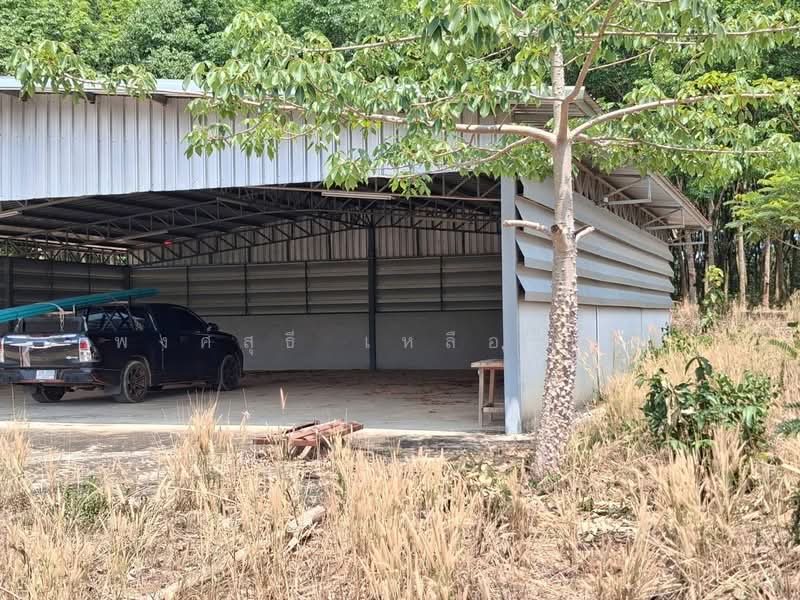 ขายที่ดินพร้อมสวนยางพาราและสนามบินเล็ก215ไร่ อ.เมืองสระแก้ว, สระแก้ว, โคกปี่ฆ้อง, เมืองสระแก้ว, สระแก้ว, 344,000 ตร.ม., ที่ดิน ขาย, โดย พงศ์สุธี เหลืองเสรี, 500240617 - DDproperty.com