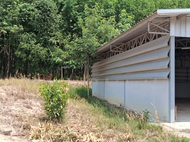 ขายที่ดินพร้อมสวนยางพาราและสนามบินเล็ก215ไร่ อ.เมืองสระแก้ว, สระแก้ว, โคกปี่ฆ้อง, เมืองสระแก้ว, สระแก้ว, 344,000 ตร.ม., ที่ดิน ขาย, โดย พงศ์สุธี เหลืองเสรี, 500240617 - DDproperty.com