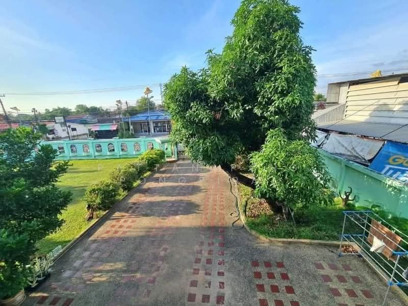 undefined, ชลบุรี, หนองปรือ, บางละมุง, ชลบุรี, 1,552 ตร.ม., บ้านเดี่ยว ขาย, โดย Pattanapong Pongpipat, 500240643 - DDproperty.com