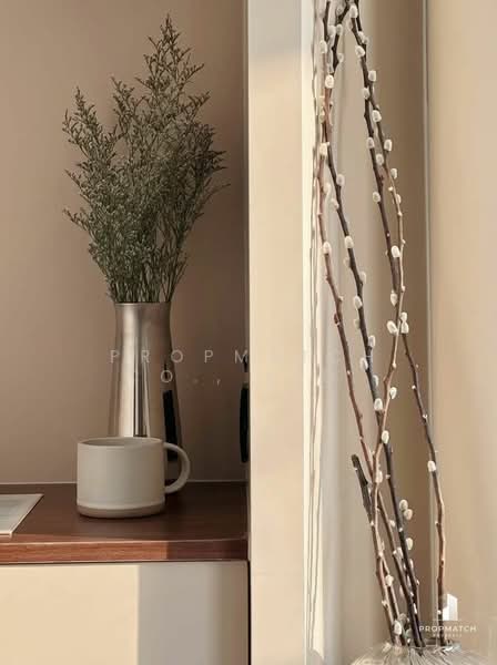 Cooper Siam, กรุงเทพ, Soi Rong Mueang 5, รองเมือง, ปทุมวัน, กรุงเทพ, 41 ตร.ม., คอนโด ให้เช่า, โดย PROPMATCH CO., LTD., 500240752 - DDproperty.com