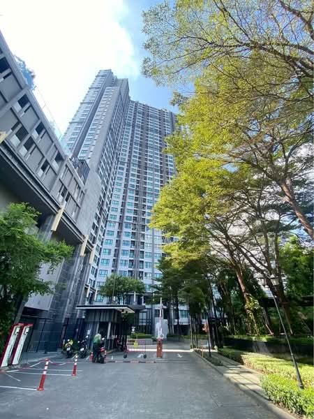 The Base Park West Sukhumvit 77 : เดอะ เบส พาร์ค เวสต์ สุขุมวิท 77, กรุงเทพ, 11 ซอยสุขุมวิท 77 ถนนสุขุมวิท, พระโขนงเหนือ, วัฒนา, กรุงเทพ, 30 ตร.ม., คอนโด ให้เช่า, โดย Natta Buromsee, 500240859 - DDproperty.com