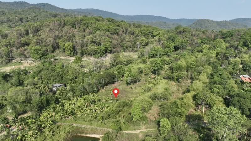 พิกัด บ้านโค้งดารา ตำบลหนองขาม อำเภอศรีราชา จังหวัดชลบุรี, Chon Buri (Pattaya), Nong - Kham, Si Racha, Chon Buri (Pattaya), , 4,344 sqm, Land For Sale, by Nattipha Thanyawat, 500240887 - DDproperty.com