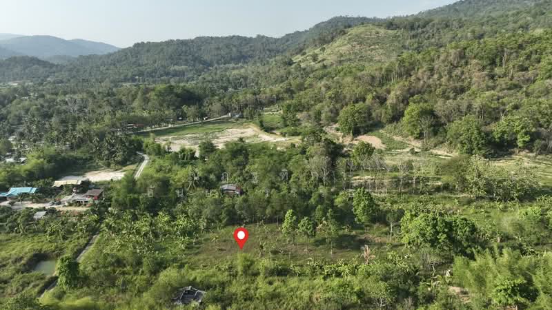 พิกัด บ้านโค้งดารา ตำบลหนองขาม อำเภอศรีราชา จังหวัดชลบุรี, Chon Buri (Pattaya), Nong - Kham, Si Racha, Chon Buri (Pattaya), , 4,344 sqm, Land For Sale, by Nattipha Thanyawat, 500240887 - DDproperty.com