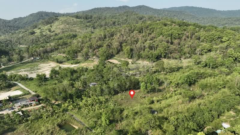 พิกัด บ้านโค้งดารา ตำบลหนองขาม อำเภอศรีราชา จังหวัดชลบุรี, Chon Buri (Pattaya), Nong - Kham, Si Racha, Chon Buri (Pattaya), , 4,344 sqm, Land For Sale, by Nattipha Thanyawat, 500240887 - DDproperty.com