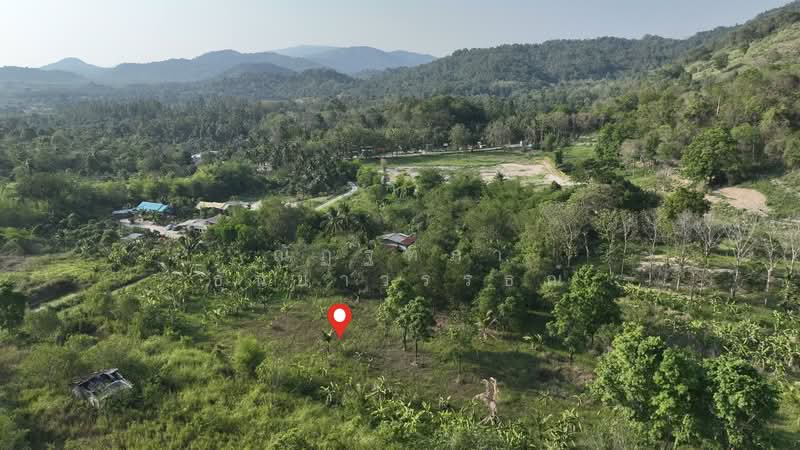 พิกัด บ้านโค้งดารา ตำบลหนองขาม อำเภอศรีราชา จังหวัดชลบุรี, Chon Buri (Pattaya), Nong - Kham, Si Racha, Chon Buri (Pattaya), , 4,344 sqm, Land For Sale, by Nattipha Thanyawat, 500240887 - DDproperty.com