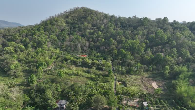 พิกัด บ้านโค้งดารา ตำบลหนองขาม อำเภอศรีราชา จังหวัดชลบุรี, Chon Buri (Pattaya), Nong - Kham, Si Racha, Chon Buri (Pattaya), , 4,344 sqm, Land For Sale, by Nattipha Thanyawat, 500240887 - DDproperty.com