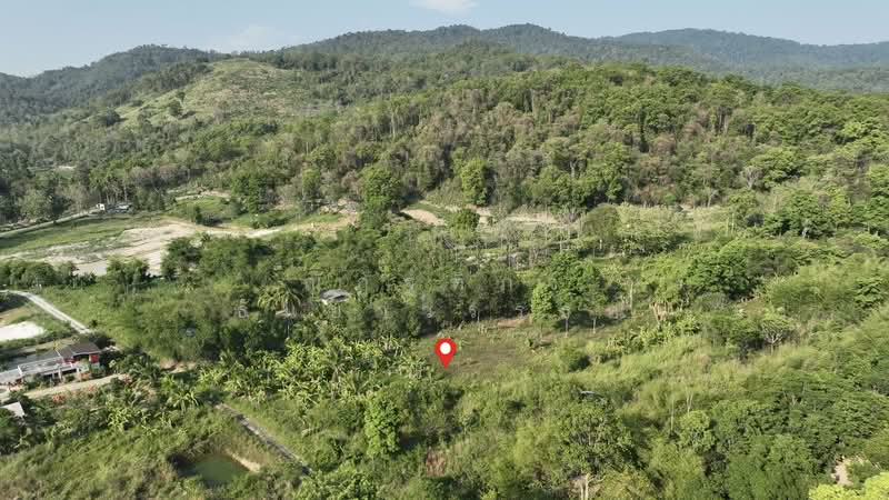 พิกัด บ้านโค้งดารา ตำบลหนองขาม อำเภอศรีราชา จังหวัดชลบุรี, ชลบุรี, หนองขาม, ศรีราชา, ชลบุรี, 4,344 ตร.ม., ที่ดิน ขาย, โดย ณัฏฐ์ฑิภา ธันยาวรรธณ์, 500240887 - DDproperty.com