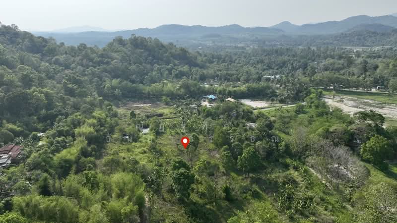 พิกัด บ้านโค้งดารา ตำบลหนองขาม อำเภอศรีราชา จังหวัดชลบุรี, Chon Buri (Pattaya), Nong - Kham, Si Racha, Chon Buri (Pattaya), , 4,344 sqm, Land For Sale, by Nattipha Thanyawat, 500240887 - DDproperty.com