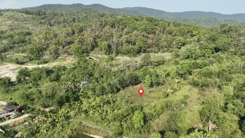 พิกัด บ้านโค้งดารา ตำบลหนองขาม อำเภอศรีราชา จังหวัดชลบุรี, ชลบุรี, หนองขาม, ศรีราชา, ชลบุรี, 4,344 ตร.ม., ที่ดิน ขาย, โดย ณัฏฐ์ฑิภา ธันยาวรรธณ์, 500240887 - DDproperty.com