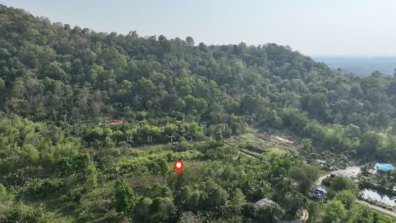 พิกัด บ้านโค้งดารา ตำบลหนองขาม อำเภอศรีราชา จังหวัดชลบุรี, ชลบุรี, หนองขาม, ศรีราชา, ชลบุรี, 4,344 ตร.ม., ที่ดิน ขาย, โดย ณัฏฐ์ฑิภา ธันยาวรรธณ์, 500240887 - DDproperty.com