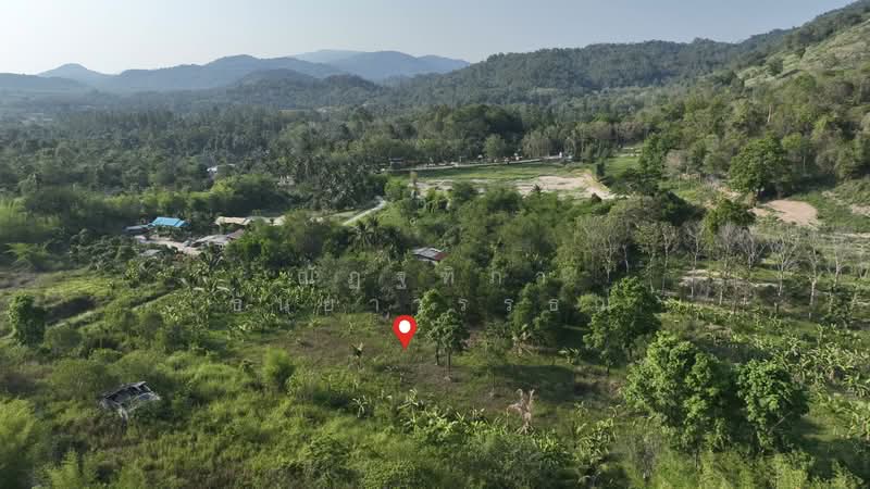 พิกัด บ้านโค้งดารา ตำบลหนองขาม อำเภอศรีราชา จังหวัดชลบุรี, Chon Buri (Pattaya), Nong - Kham, Si Racha, Chon Buri (Pattaya), , 4,344 sqm, Land For Sale, by Nattipha Thanyawat, 500240887 - DDproperty.com