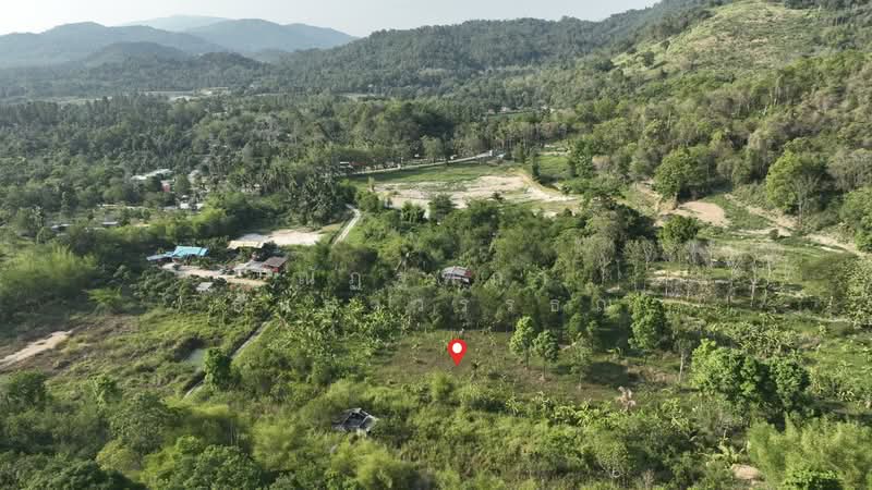 พิกัด บ้านโค้งดารา ตำบลหนองขาม อำเภอศรีราชา จังหวัดชลบุรี, Chon Buri (Pattaya), Nong - Kham, Si Racha, Chon Buri (Pattaya), , 4,344 sqm, Land For Sale, by Nattipha Thanyawat, 500240887 - DDproperty.com