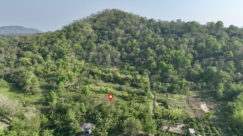 พิกัด บ้านโค้งดารา ตำบลหนองขาม อำเภอศรีราชา จังหวัดชลบุรี, Chon Buri (Pattaya), Nong - Kham, Si Racha, Chon Buri (Pattaya), , 4,344 sqm, Land For Sale, by Nattipha Thanyawat, 500240887 - DDproperty.com