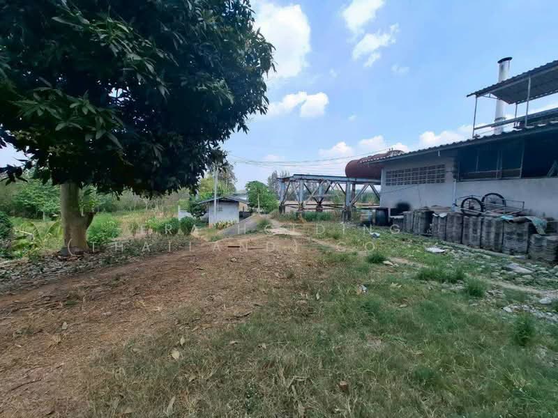 พนัสนิคม ชลบุรี, Chon Buri (Pattaya), Nong Pru, Phanat Nikhom, Chon Buri (Pattaya), , 20,000 sqm, Warehouse/Factory For Sale, by ERA Holding (Thailand) Co., Ltd., 500240957 - DDproperty.com