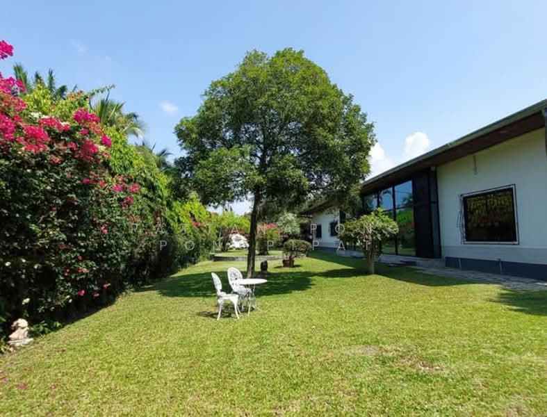 undefined, ชลบุรี, หนองปรือ, บางละมุง, ชลบุรี, 650 ตร.ม., บ้านเดี่ยว ขาย, โดย Pattanapong Pongpipat, 500241096 - DDproperty.com