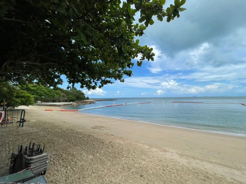 บ้านเดี่ยวริมทะเลหาดวงศ์อำมาตย์ วิวปราสาทสัจธรรม พัทยาเหนือ 5ห้องนอน7ห้องน้ำ 364ตรว.พื้นที่ใช้สอย426, ชลบุรี, สุขุมวิท, นาเกลือ, บางละมุง, ชลบุรี, 462 ตร.ม., บ้านเดี่ยว ขาย, โดย สุรศักดิ์ สาโท, 500241458 - DDproperty.com